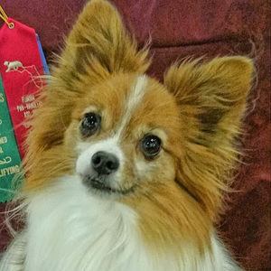 Meet your Posher, Mary lou